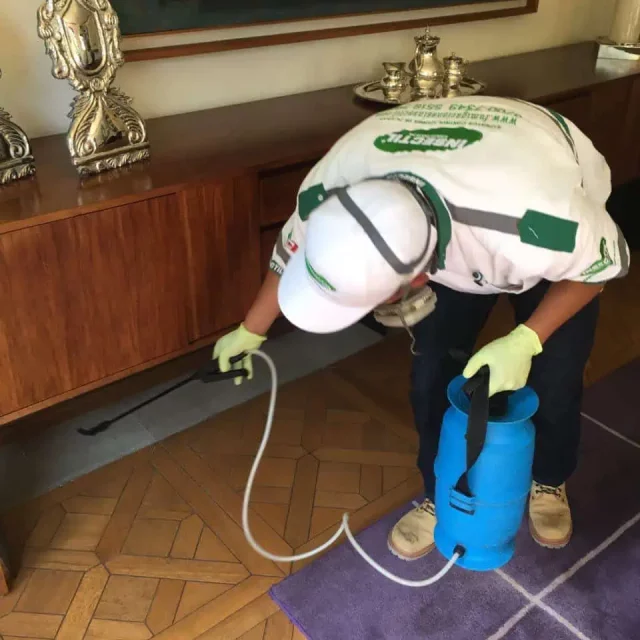 Servicio de fumigación en CDMX, Querétaro, Ciudad de México, Estado de México