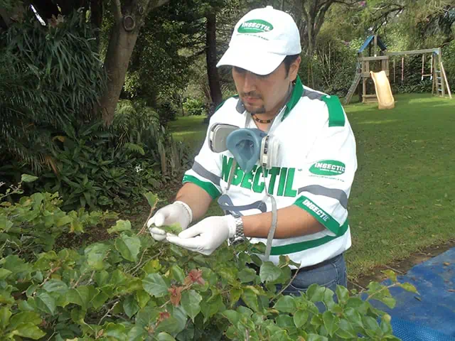 Servicio de fumigación en CDMX, Querétaro, Ciudad de México, Estado de México