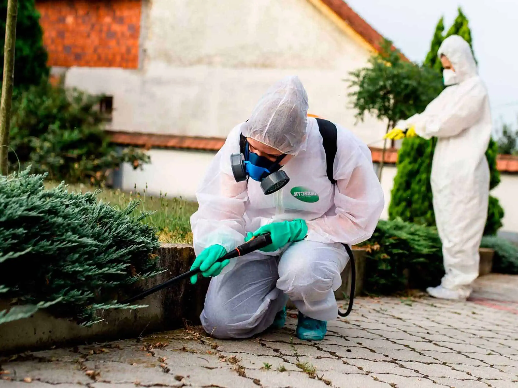 Servicios de fumigación y control de plagas para empresas – Edo Mex ...